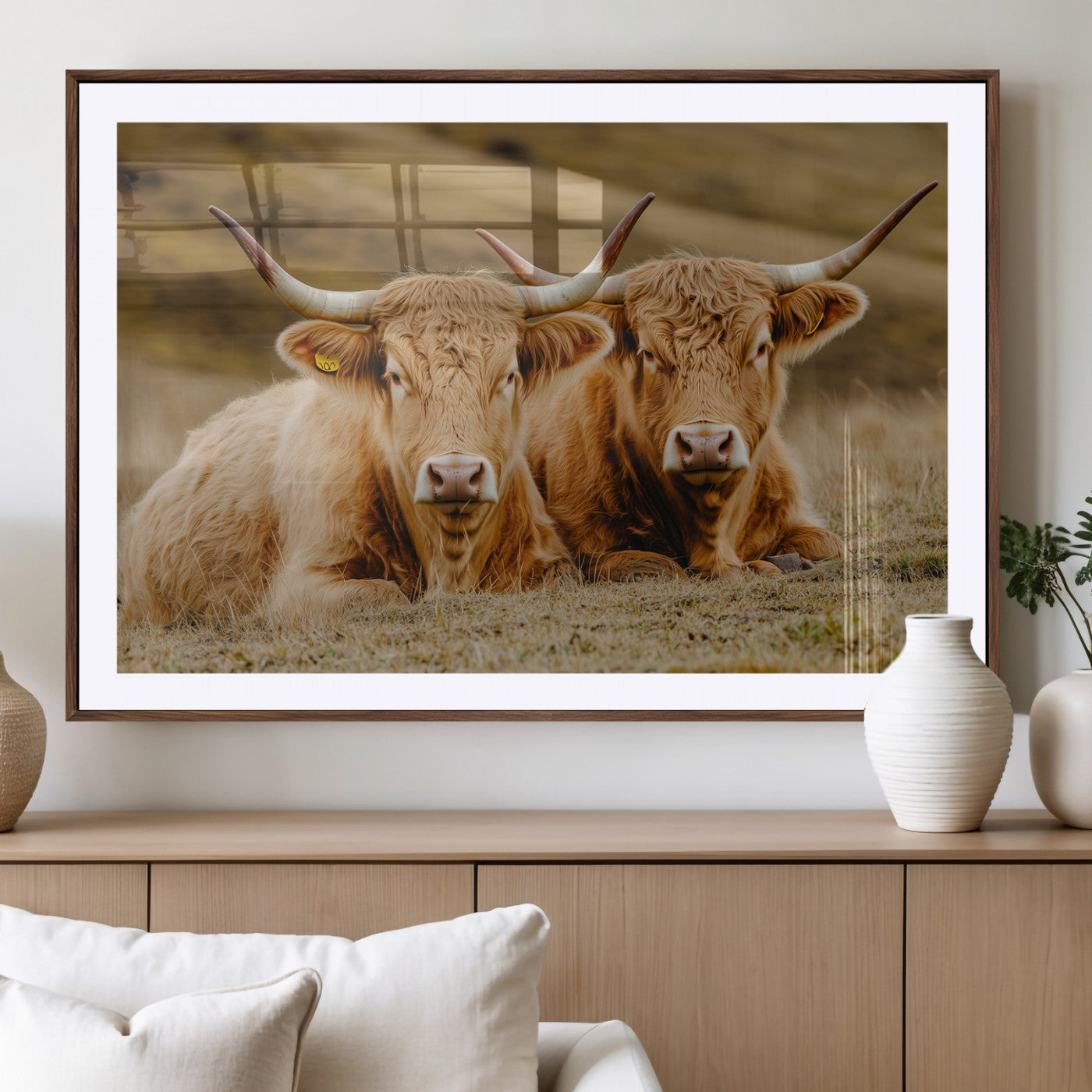 Two Highland cows resting on a golden field with soft focus hills, ideal for rustic farmhouse or cozy cabin style decor.