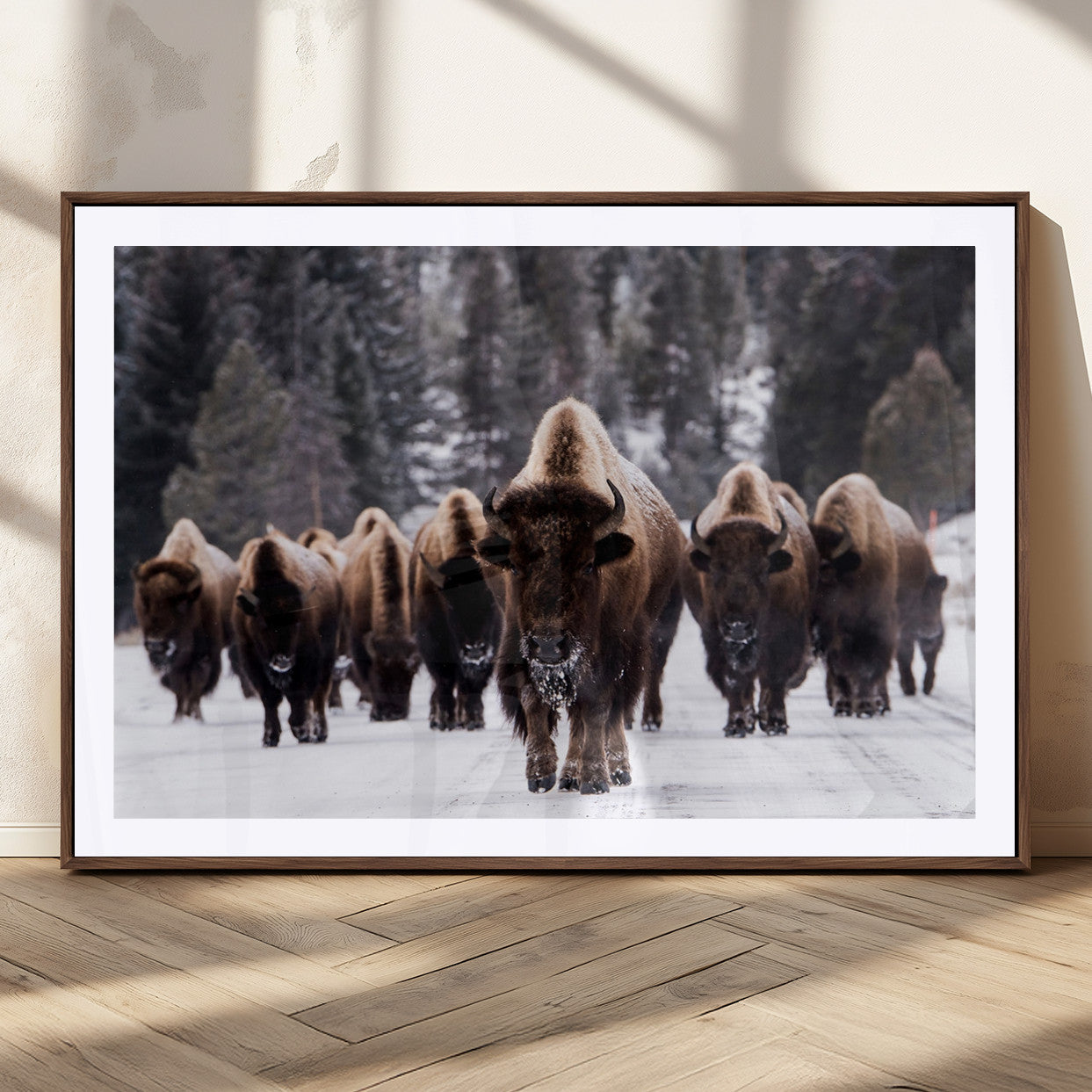 66871-MGC-FP-36x24_Walnut-Bison Wall Art Canvas Print- Bison Herd Canvas Wall Art – Majestic Wildlife Photography – Framed and