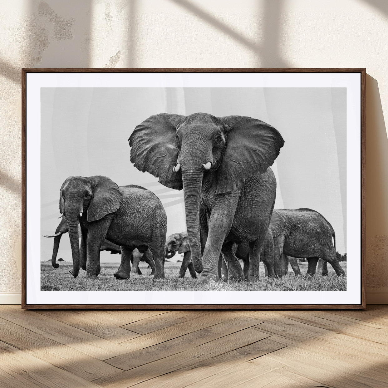 91685-MGC-FP-36x24_Walnut-Black White Elephant Family Wall Art Canvas Print