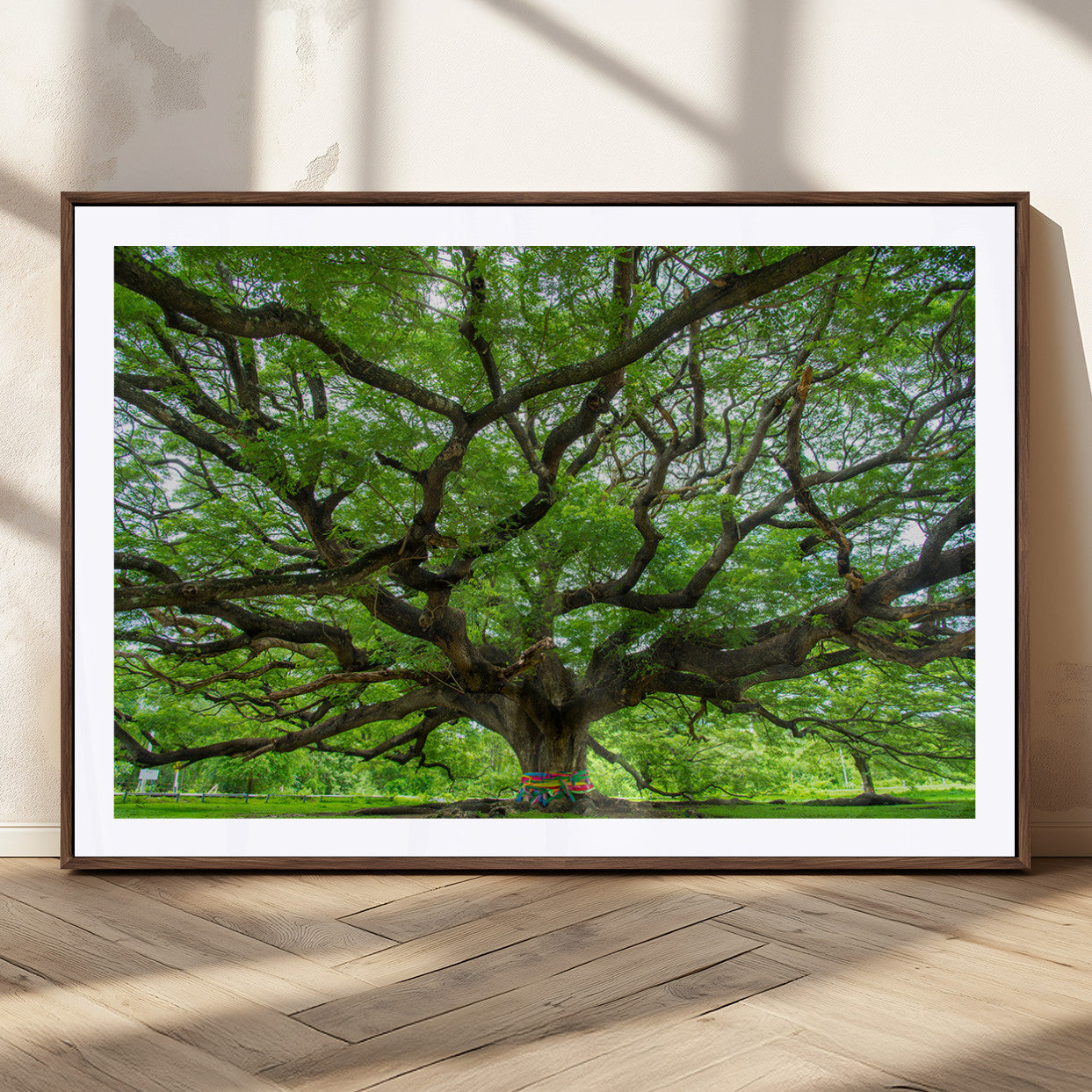 16118389-MGC-FP-36x24_Walnut-Oak Tree Wall Art Print, Forest Canvas Wall Art for Home and Office, Framed Angel Oak Tree Canvas