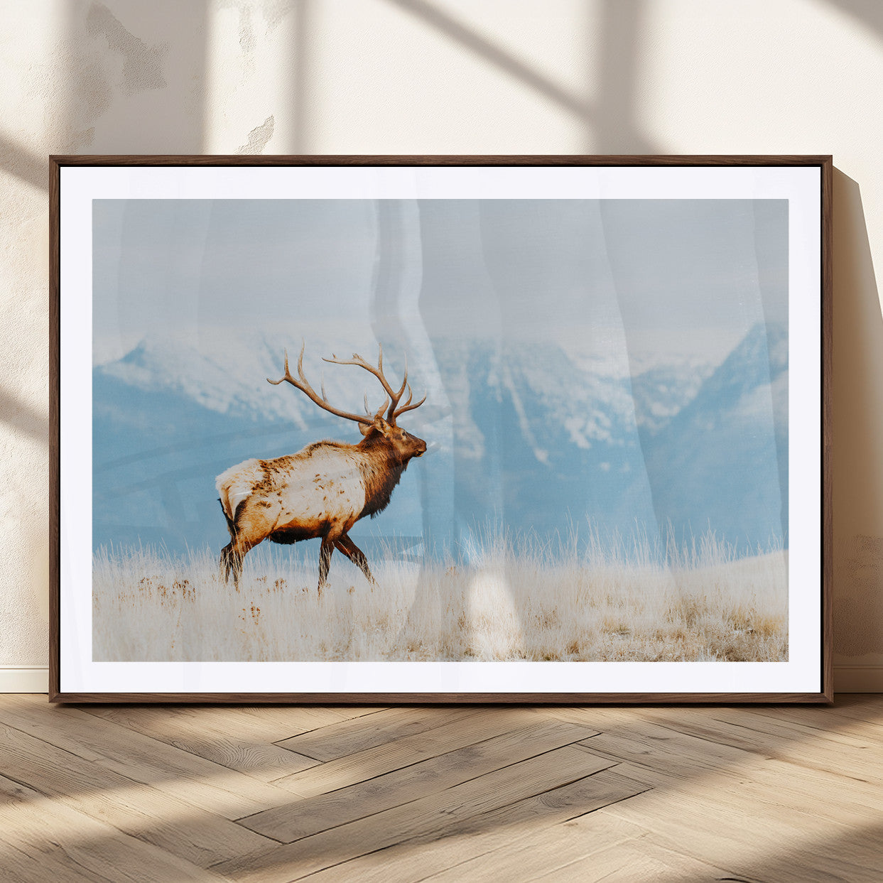 Majestic elk standing on dry grassland with snowy mountains in the background, ideal for rustic or lodge-inspired wall decor.