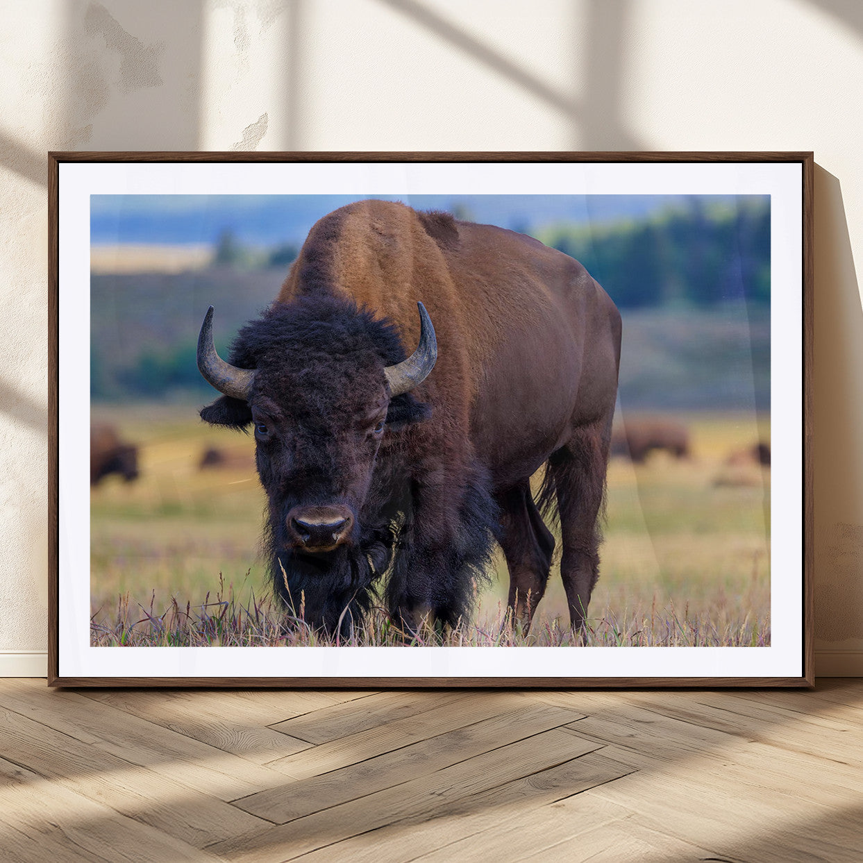 Close-up of a strong American bison standing in a grassy prairie with a blurred herd in background, perfect for rustic lodge decor.