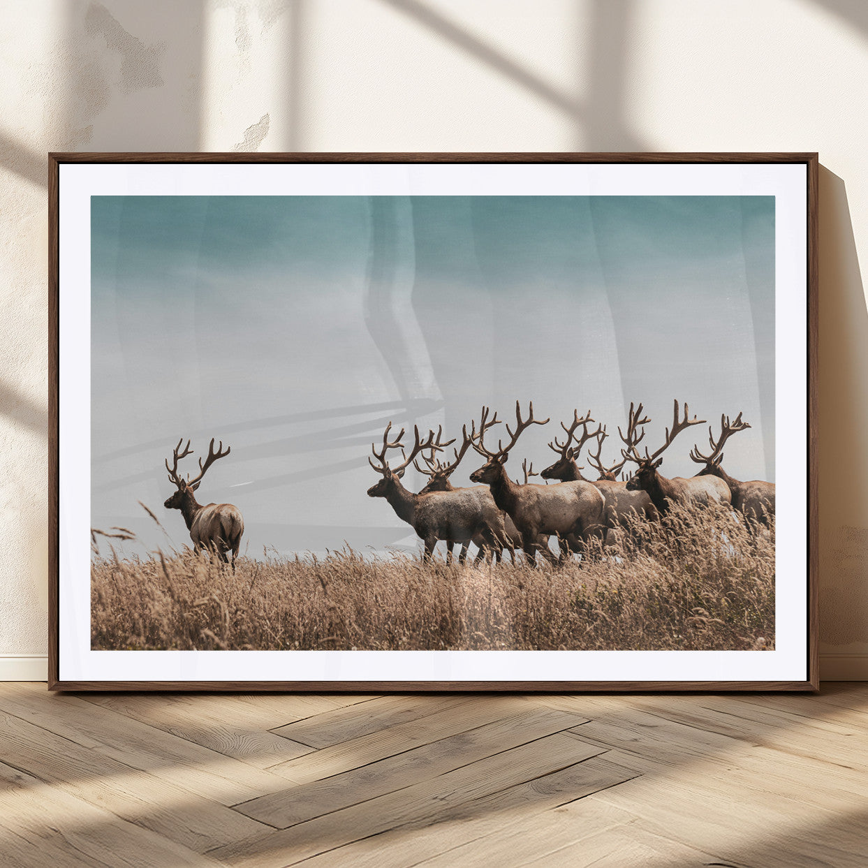 81594705-MGC-FP-36x24_Walnut-Elk Herd Wall Art Canvas Print – Framed Wildlife Photography Rustic Nature Scene Artwork for Home, Office, Living Room