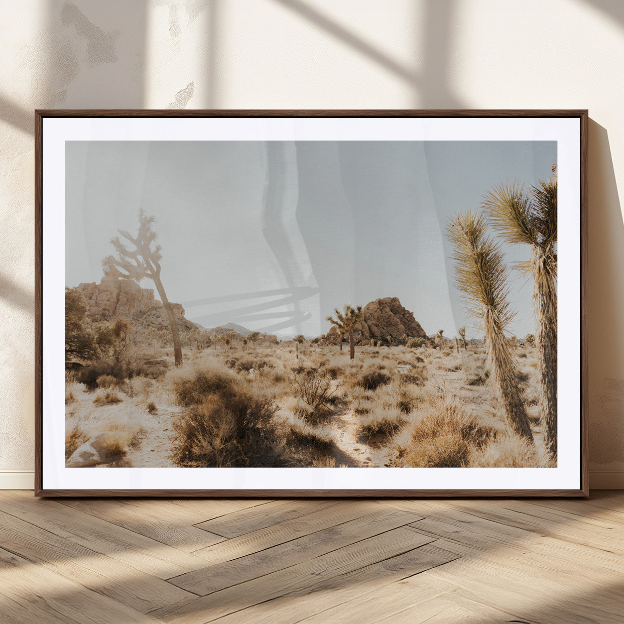 Sunlit desert landscape featuring Joshua trees, rocky formations, and dry bushes under a clear sky.