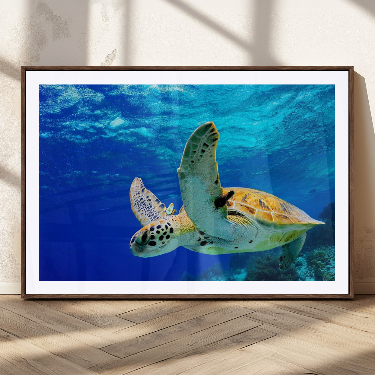 16292-MGC-FP-36x24_Walnut-Sea Turtle Wall Art Canvas Print, Sea life in the Ocean Wall Art Printing