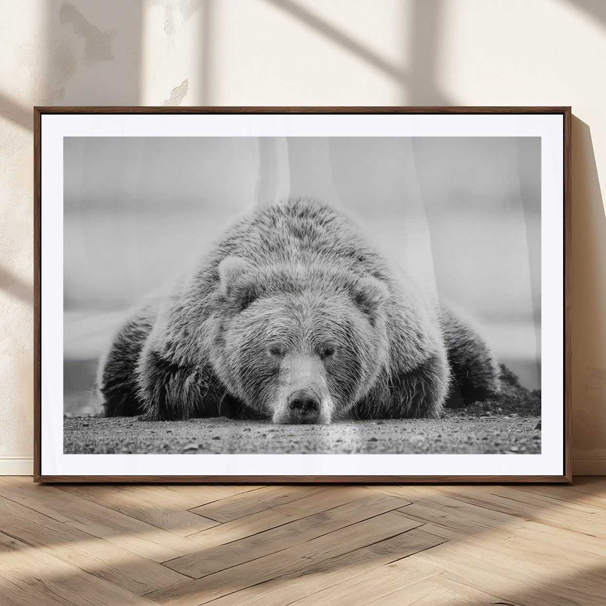 72905-MGC-FP-36x24_Walnut-Resting Grizzly Bear Wall Art Canvas Print – Majestic Lazy Black and White Wildlife Bear Art,