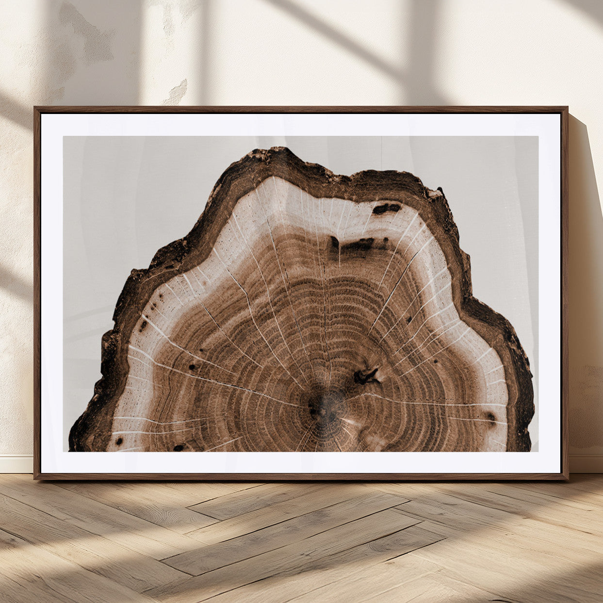 45195-MGC-FP-36x24_Walnut-Rustic Wood Rings Wall Art | Nature-Inspired Tree Ring Canvas Print | Ready to Hang and Framed for