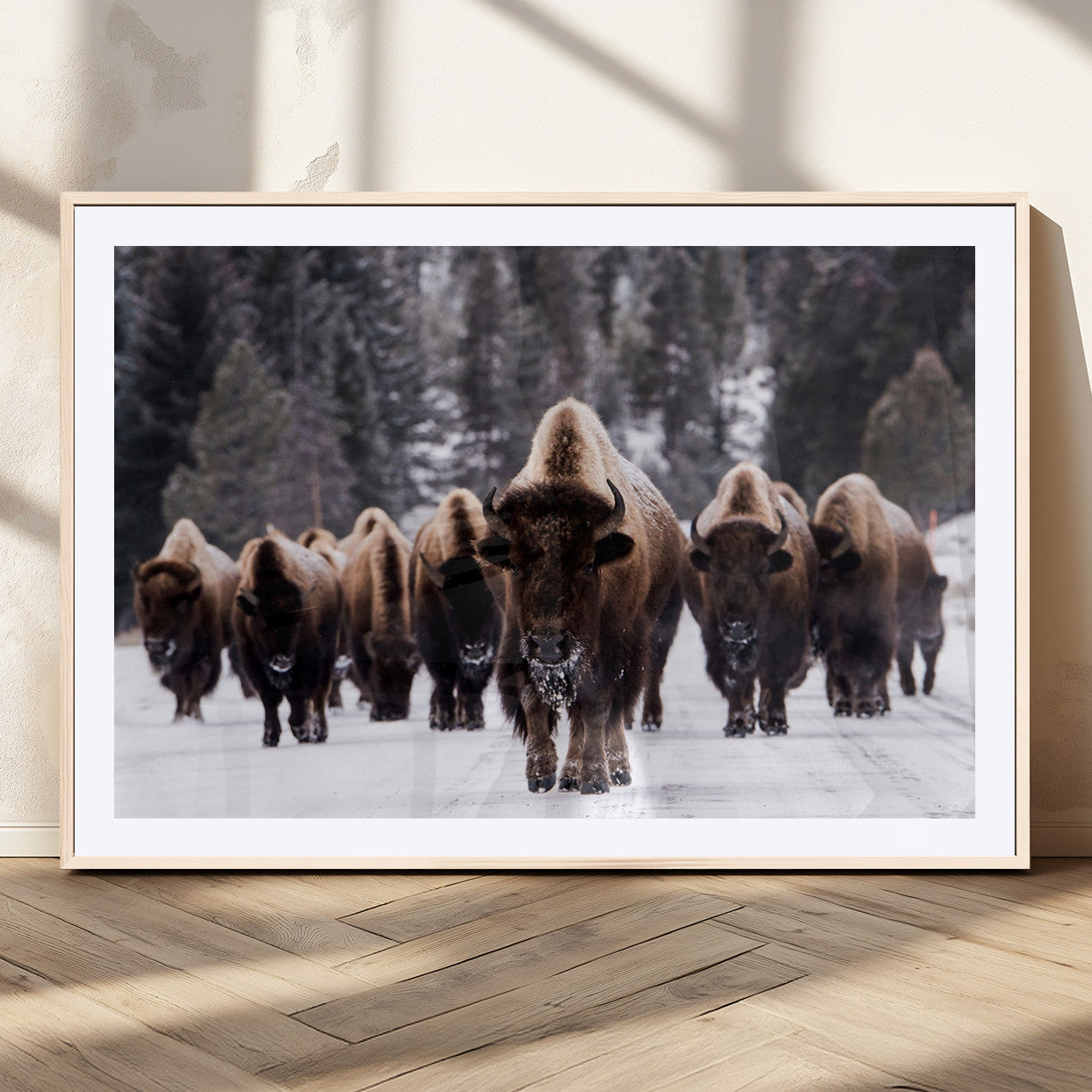 66871-MGC-FP-36x24_Natural-Bison Wall Art Canvas Print- Bison Herd Canvas Wall Art – Majestic Wildlife Photography – Framed and