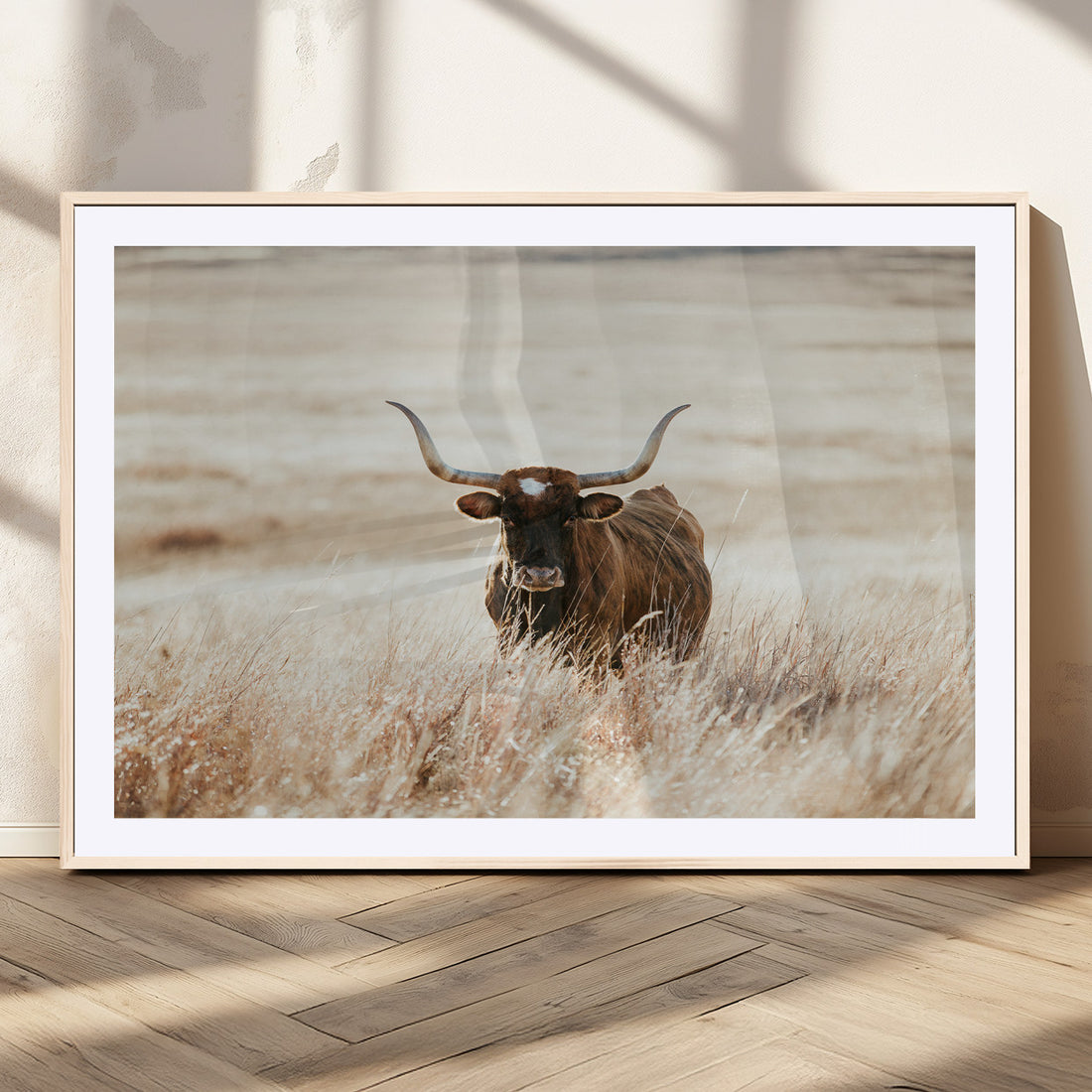 Texas Longhorn Wall Art Canvas Print