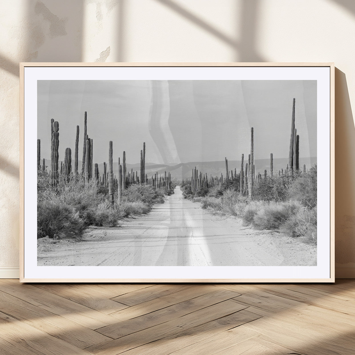 A black and white desert road stretching through a cactus-filled landscape, creating a rugged and timeless southwestern aesthetic with a sense of adventure.