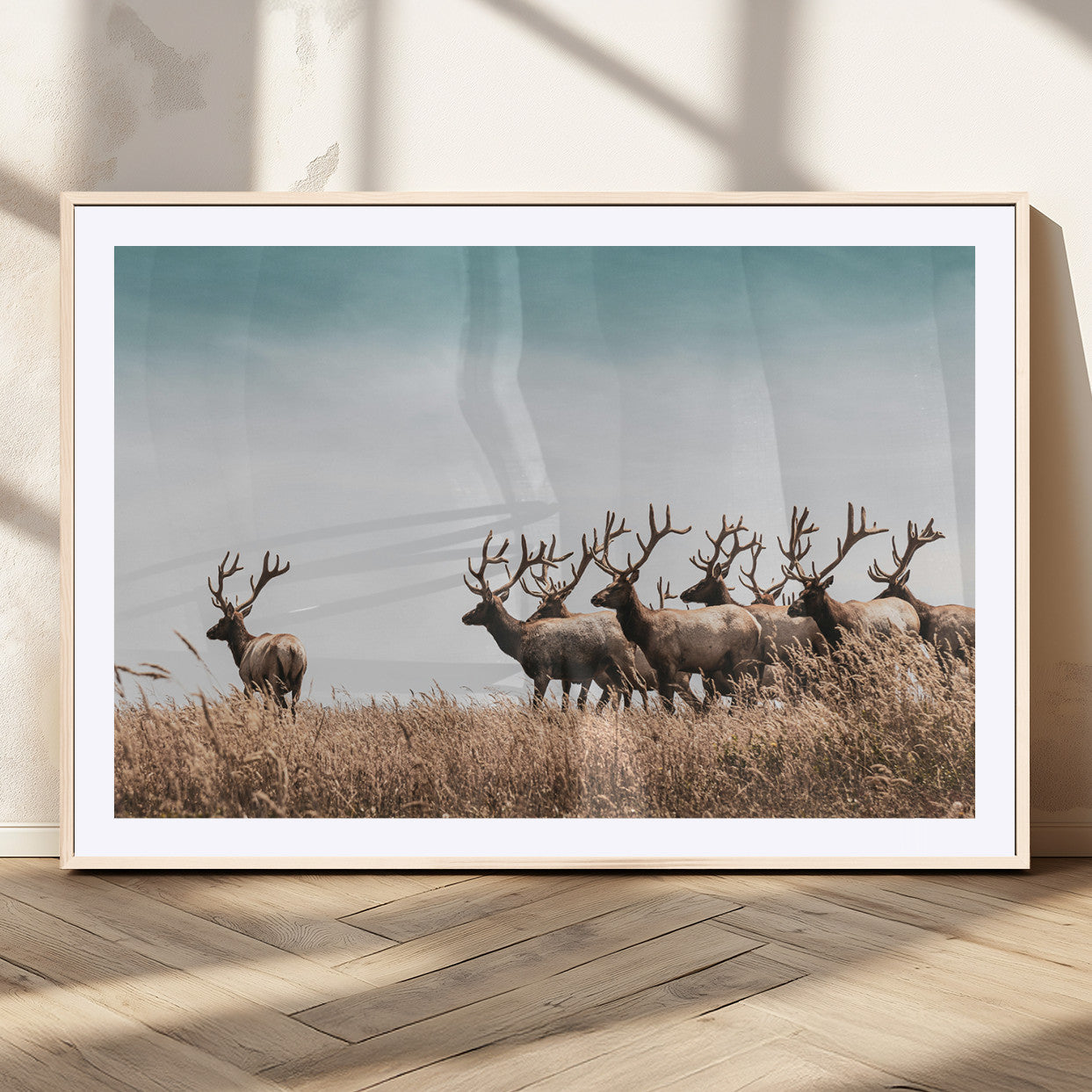 81594705-MGV-CV-36X24-Elk Herd Wall Art Canvas Print – Framed Wildlife Photography Rustic Nature Scene Artwork for Home, Office, Living Room