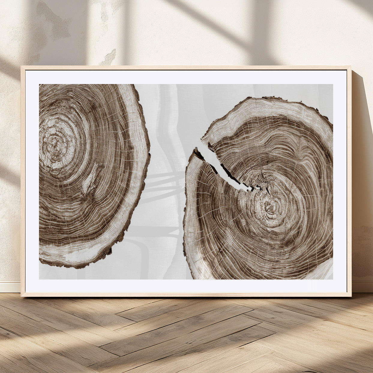 43743-MGC-FP-36x24_Natural-Wood Tree Ring Wall Art Canvas Prints, Tree Rings – Minimalist Black and White Wood Art | Triptych