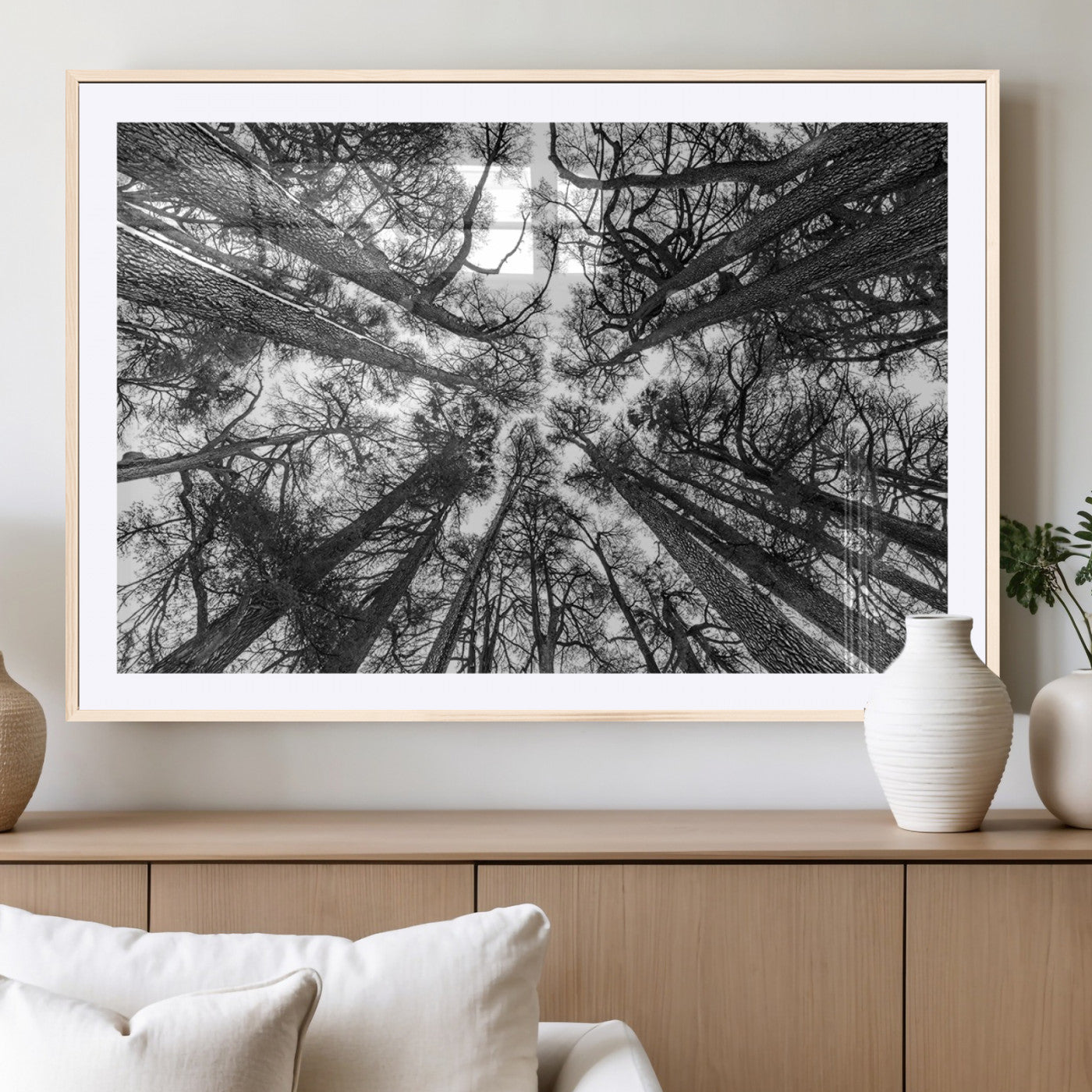 33934-MGC-FP-36x24_Natural-Trees Contemporary Art Canvas Print