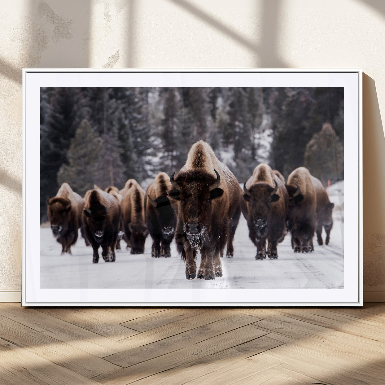 66871-MGC-FP-36x24_White-Bison Wall Art Canvas Print- Bison Herd Canvas Wall Art – Majestic Wildlife Photography – Framed and