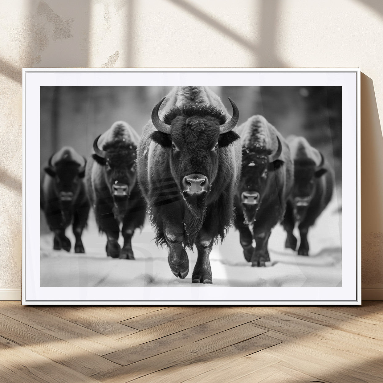 79872-MGC-FP-36x24_White-American Bison Art | Buffalo Herd Wall Art Canvas Print, BW American Bison Herd Wall Art Canvas