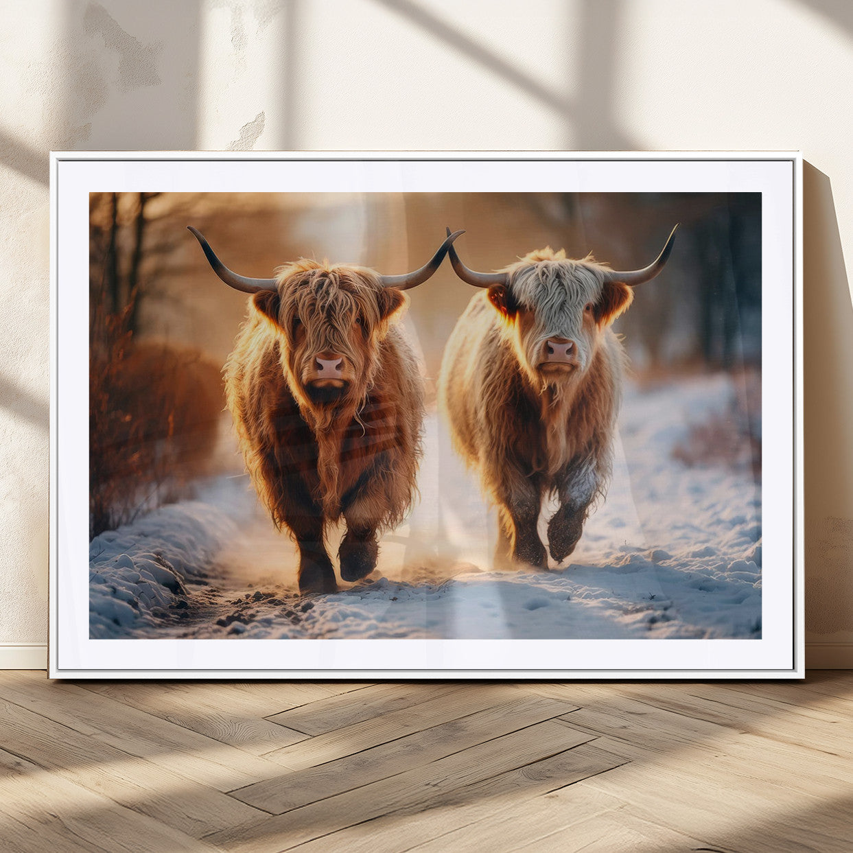 94810-MGC-FP-36x24_White-Scottish Highland Cow Horn Farm Wall Art Canvas Print