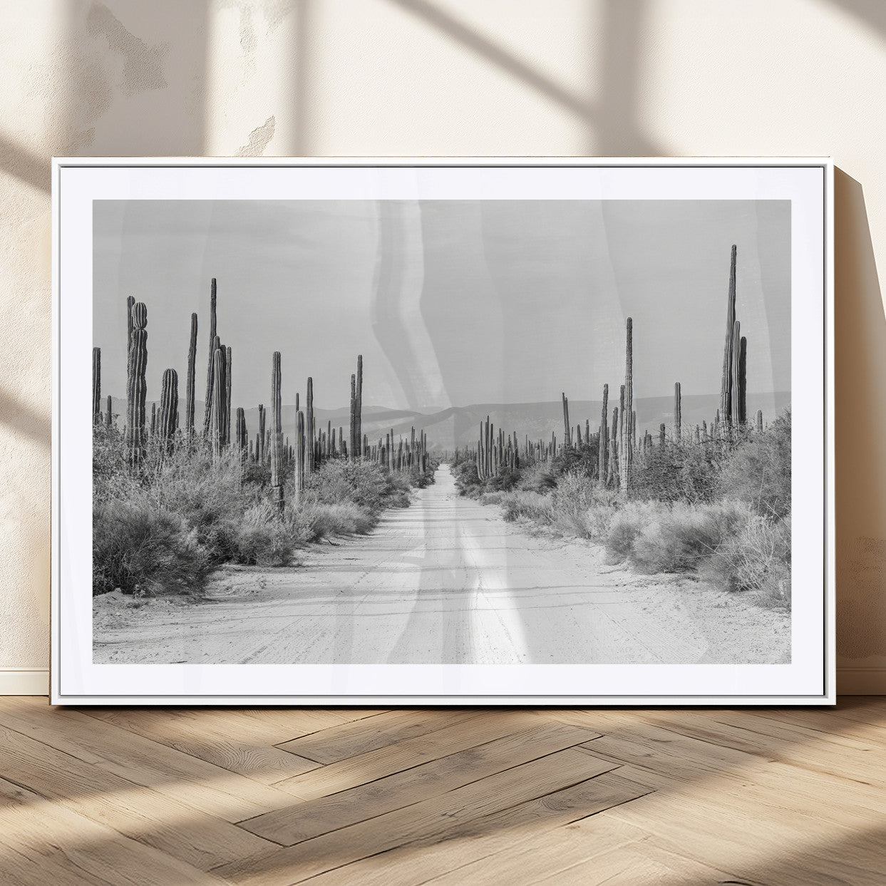 A black and white desert road stretching through a cactus-filled landscape, creating a rugged and timeless southwestern aesthetic with a sense of adventure.