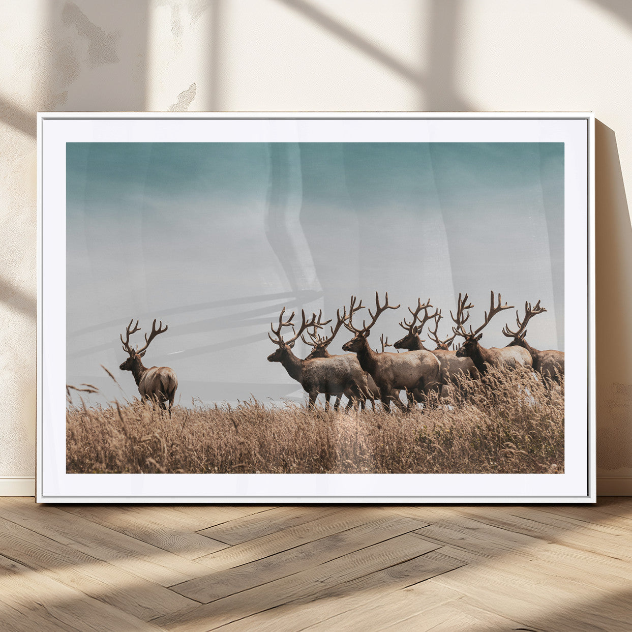 81594705-MGV-CV-36X24-Elk Herd Wall Art Canvas Print – Framed Wildlife Photography Rustic Nature Scene Artwork for Home, Office, Living Room