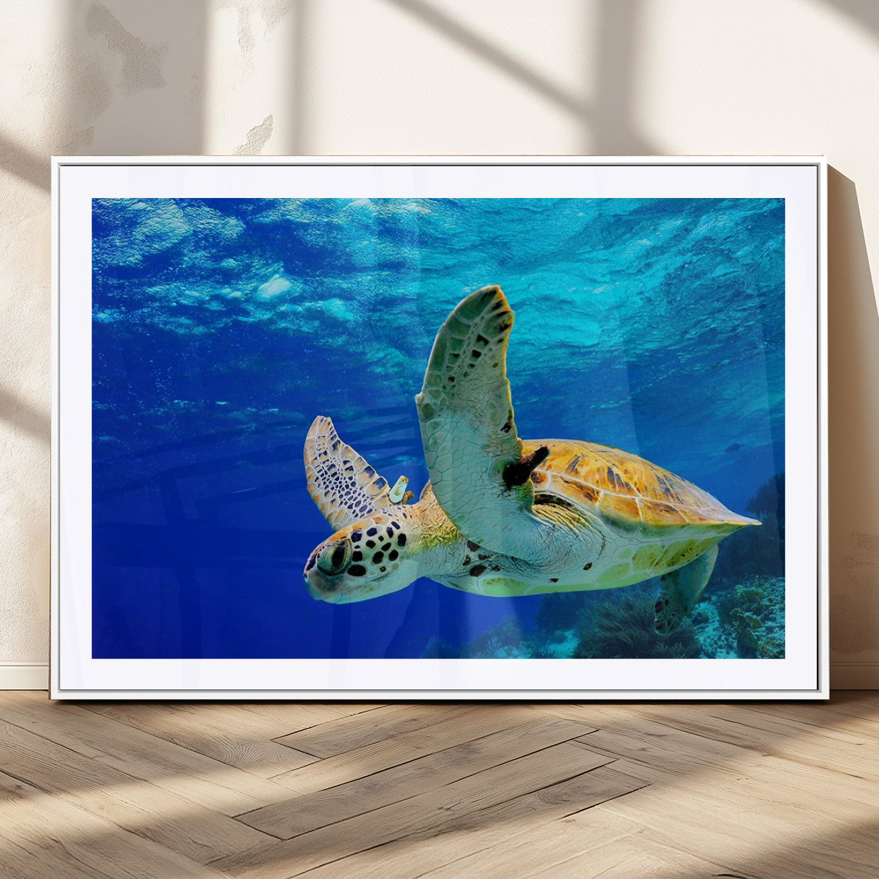 16292-MGC-FP-36x24_White-Sea Turtle Wall Art Canvas Print, Sea life in the Ocean Wall Art Printing