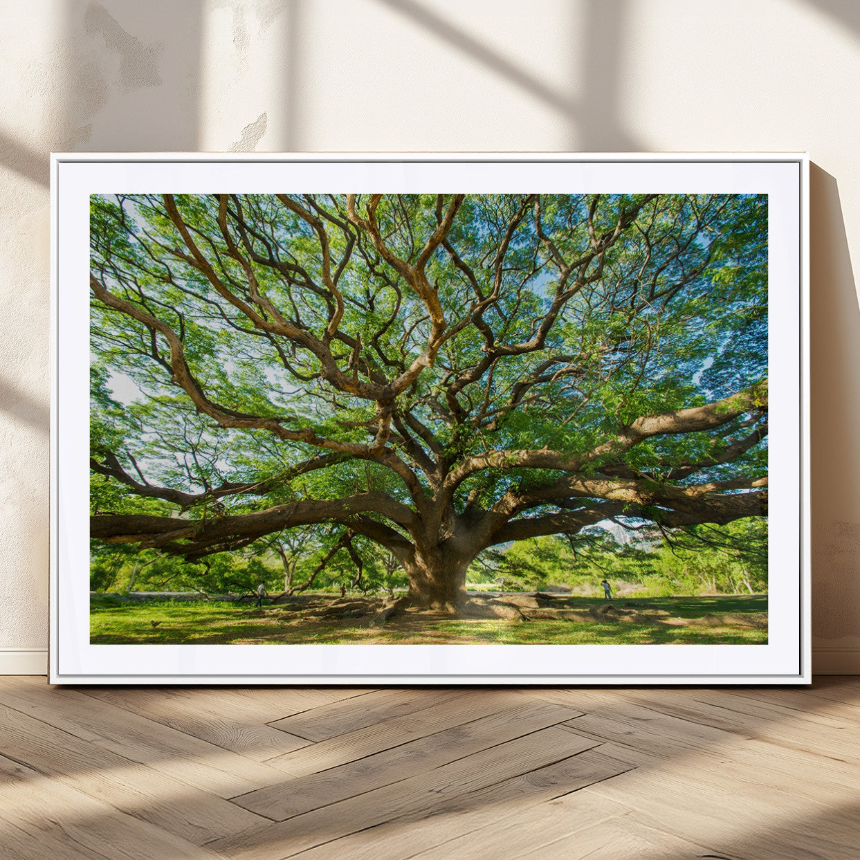 70569-MGC-FP-36x24_White-Majestic Oak Tree Wall Art – Serene Nature Canvas Print with Spreading Branches, Tranquil Forest Landscape Decor for Living Room or Office