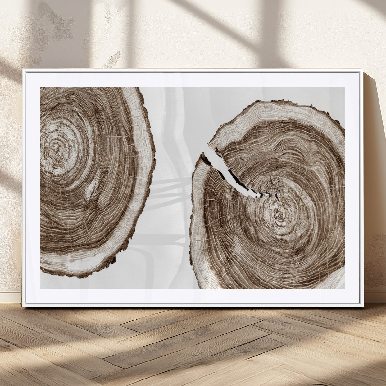 43743-MGC-FP-36x24_White-Wood Tree Ring Wall Art Canvas Prints, Tree Rings – Minimalist Black and White Wood Art | Triptych