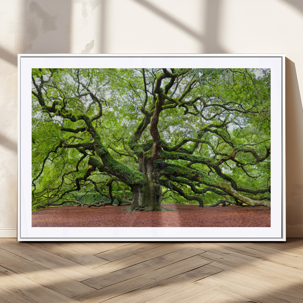 40313-MGC-FP-36x24_White-Framed Angel Oak Tree Wall Art - 3-Panel Canvas Prints, Large Green Nature Artwork, Ready to Hang
