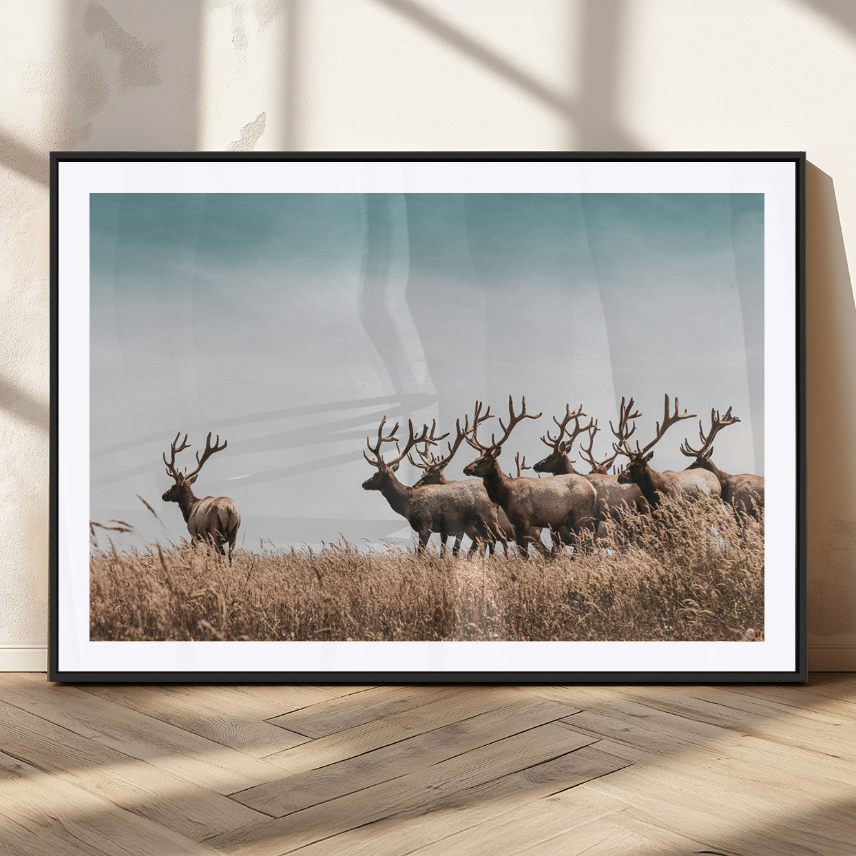 81594705-MGV-CV-36X24-Elk Herd Wall Art Canvas Print – Framed Wildlife Photography Rustic Nature Scene Artwork for Home, Office, Living Room