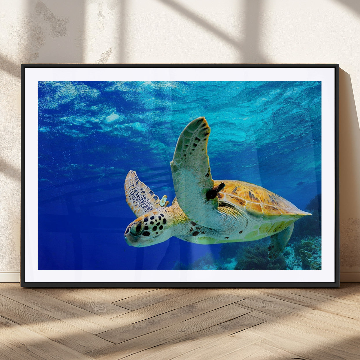16292-MGC-FP-36x24_Black-Sea Turtle Wall Art Canvas Print, Sea life in the Ocean Wall Art Printing