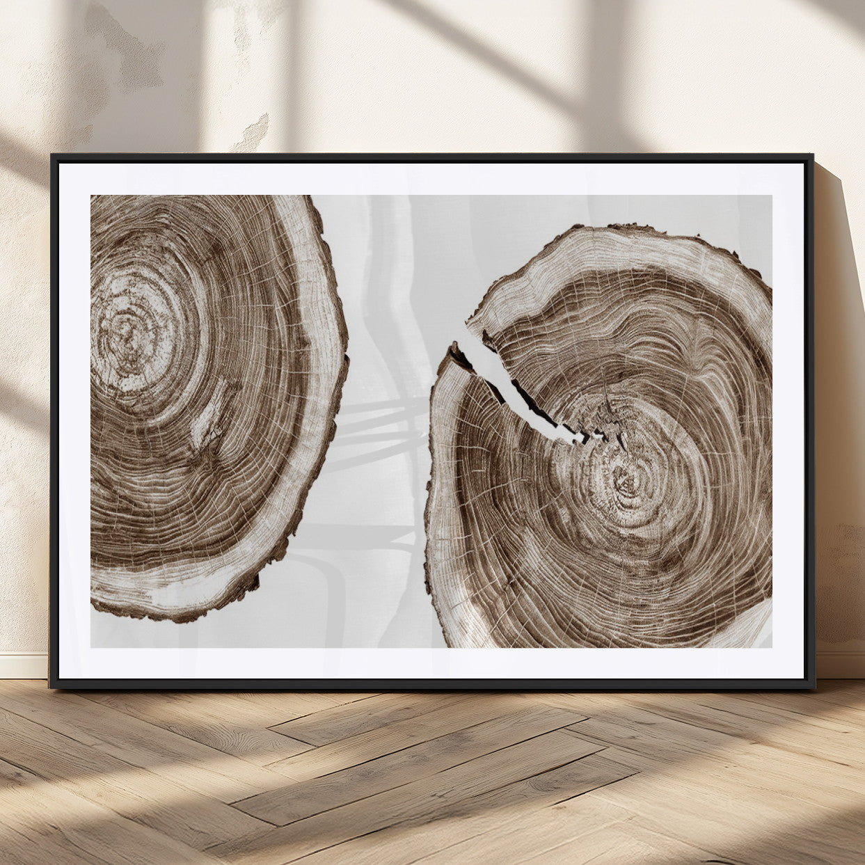 43743-MGC-FP-36x24_Black-Wood Tree Ring Wall Art Canvas Prints, Tree Rings – Minimalist Black and White Wood Art | Triptych