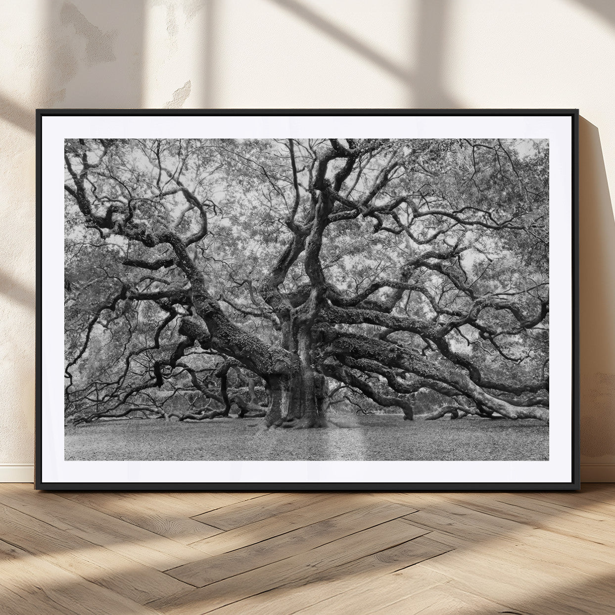 -Black White Angel Oak Tree Wall Art - Timeless Nature-Inspired Canvas for Rustic, Modern, or