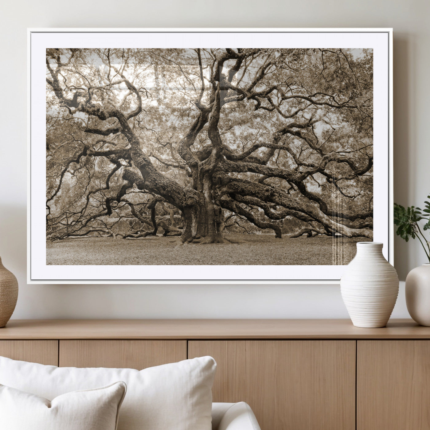 51126-MGV-CV-36X24 - Sepia Framed Angel Oak Tree Wall Art - 3-Panel Canvas Prints, Large Green Nature Artwork, Ready to