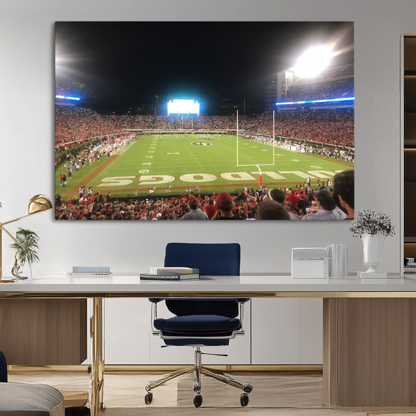 16230786-MGV-CV-36X24-Dooley Stadium Wall Art, Sports Arena Panoramic Canvas Print, Modern Stadium Landscape Artwork for Home, Office