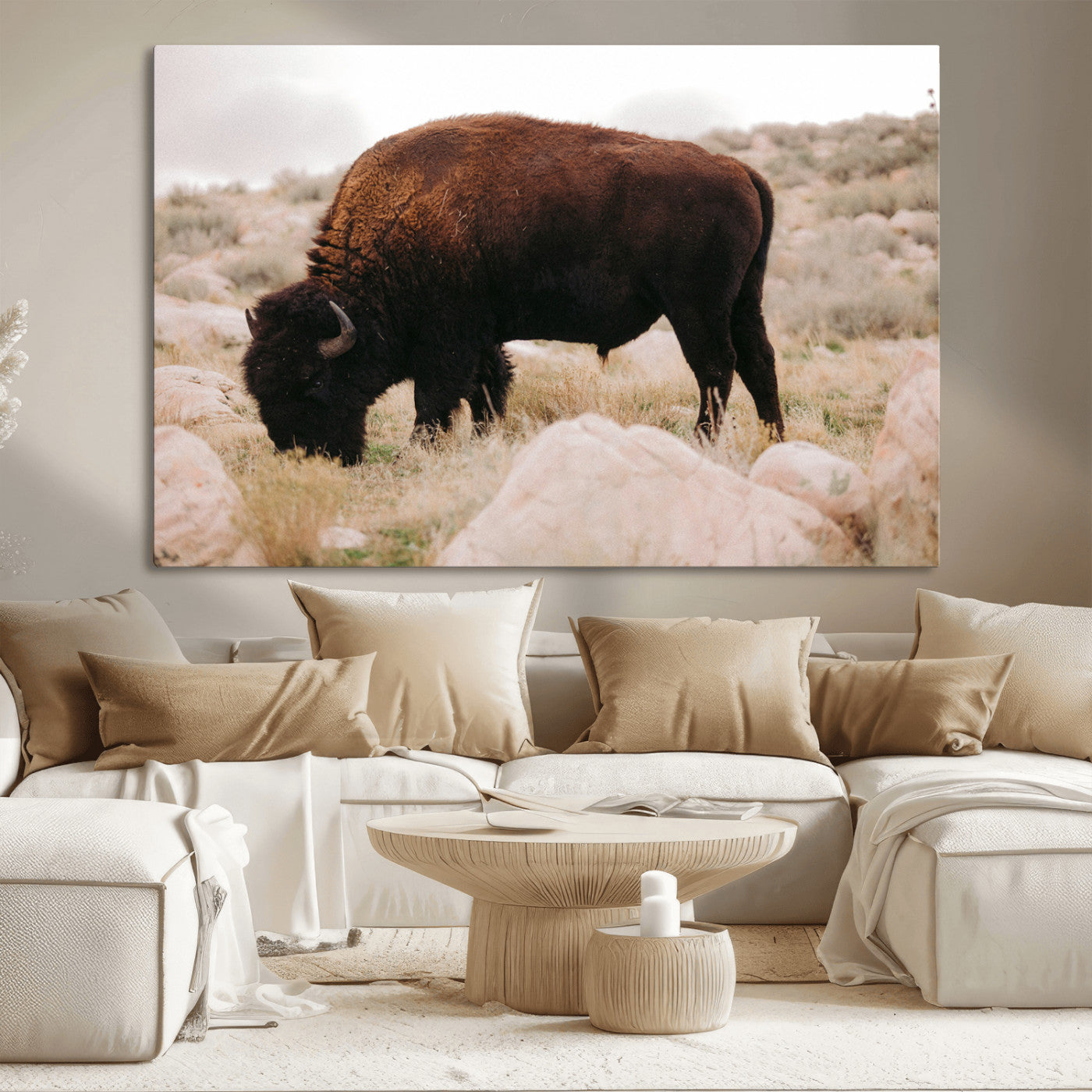 A solitary bison grazing in a rugged prairie with earthy tones and scattered rocks, capturing the essence of the American West for rustic decor.