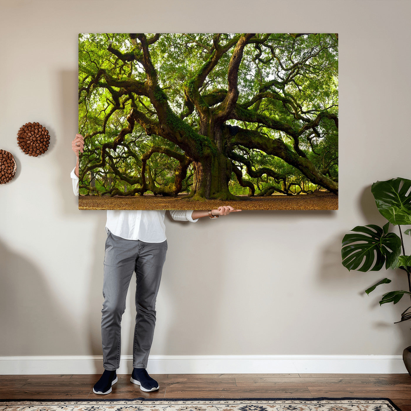 29407-MGV-CV-36X24 - Angel Oak Tree Wall Art Canvas Print | Large Forest Tree Nature Photography Print on Canvas
