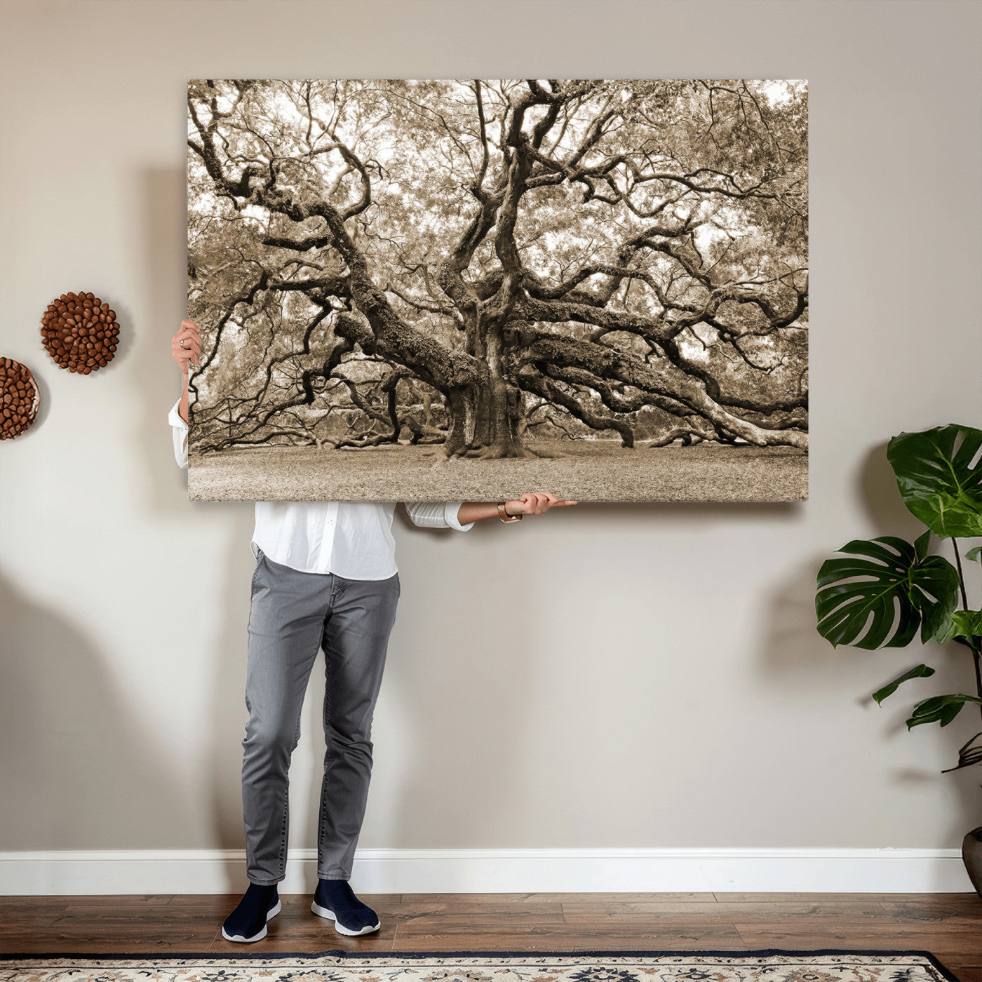 51126-MGV-CV-36X24 - Sepia Framed Angel Oak Tree Wall Art - 3-Panel Canvas Prints, Large Green Nature Artwork, Ready to