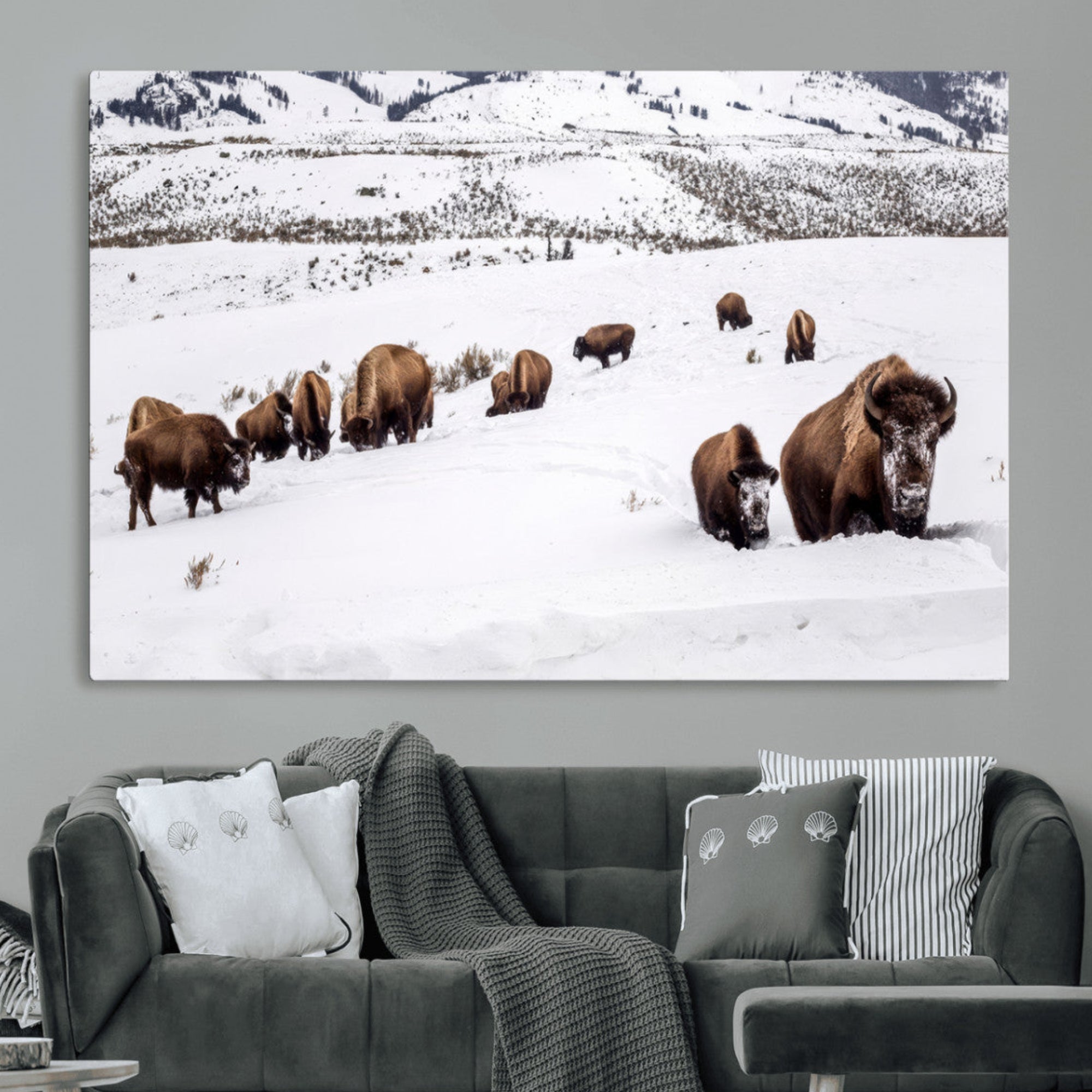 A herd of bison walking through deep snow in a mountain valley, perfect for rustic, cabin or western-themed wall decor.