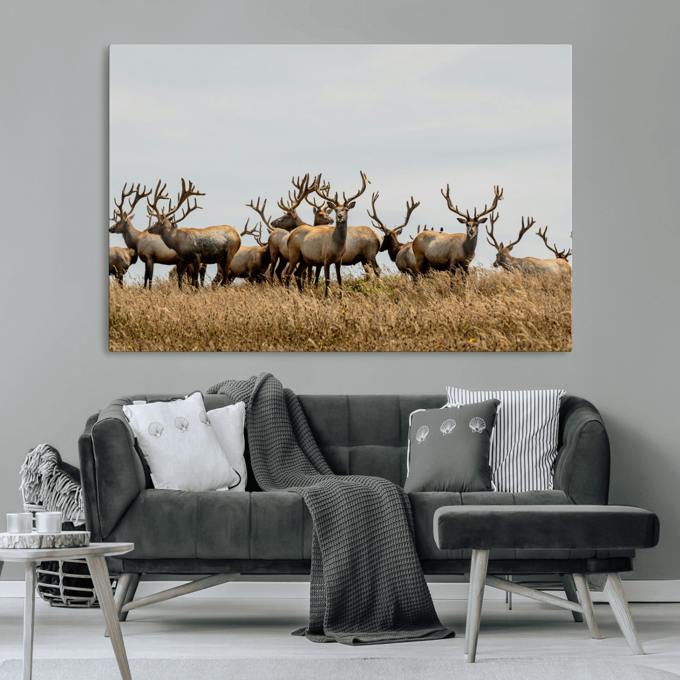 42170220-MGV-CV-36X24-Elk Herd Wall Art Canvas Print – Framed Wildlife Photography Majestic Antlers Nature Scene Artwork for Home Office