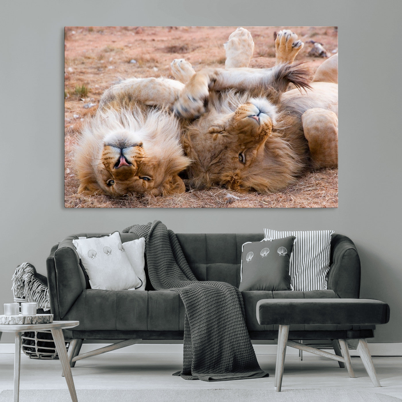 -Lion Pair Wall Art Canvas Print – Framed Wildlife Scene with Playful Lions Artwork for Home, Office, Living Room