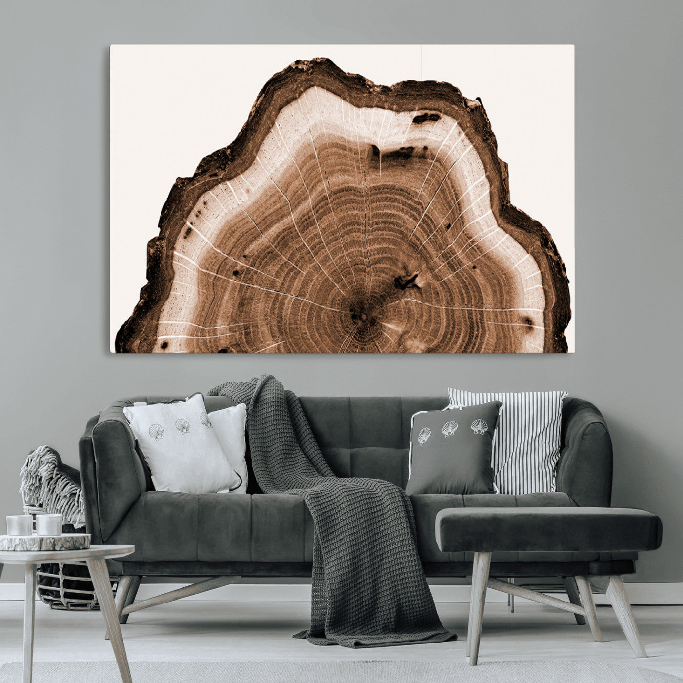 -Rustic Wood Rings Wall Art | Nature-Inspired Tree Ring Canvas Print | Ready to Hang and Framed for
