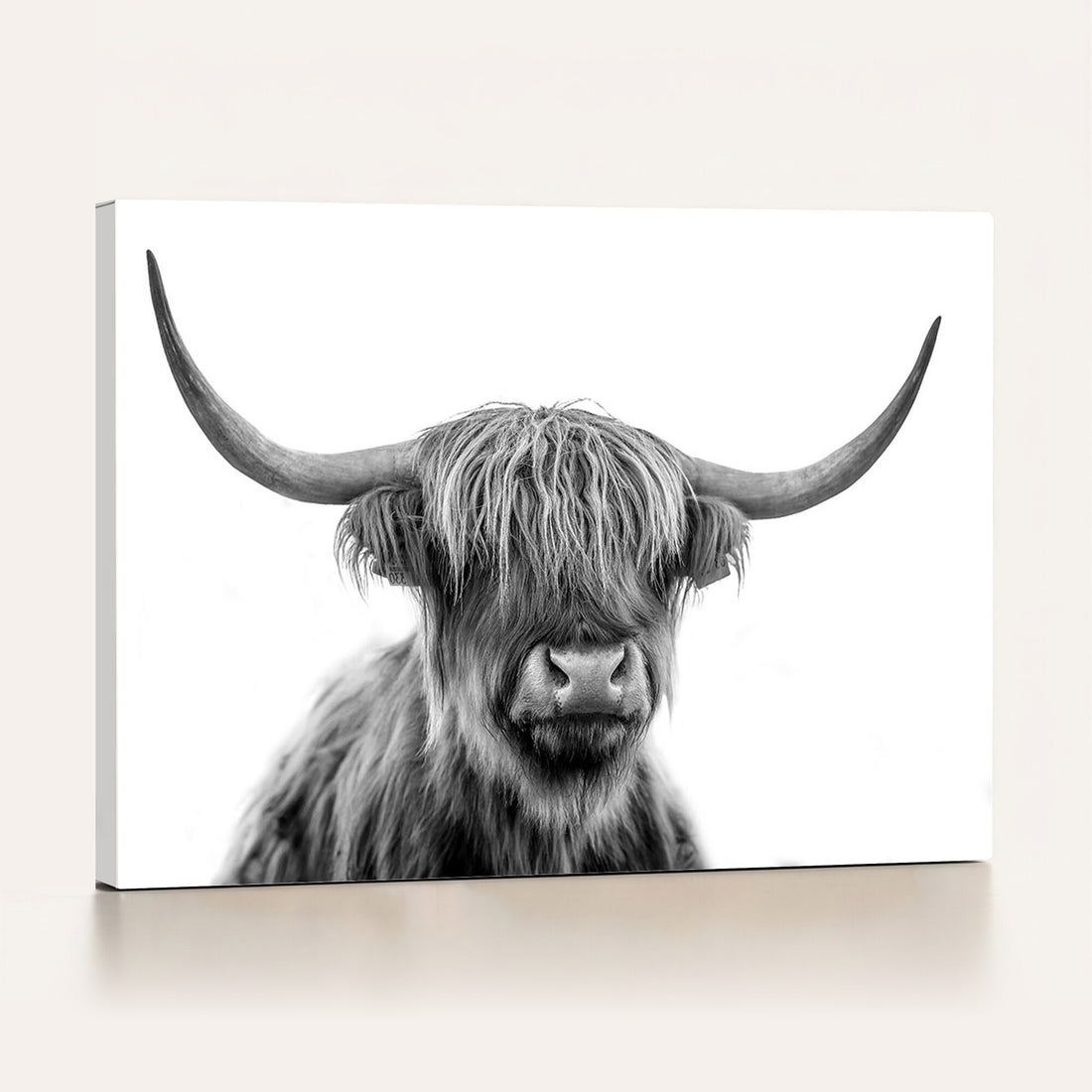 Scottish Highland Cow Cattle Art Print Wall Art Canvas Print