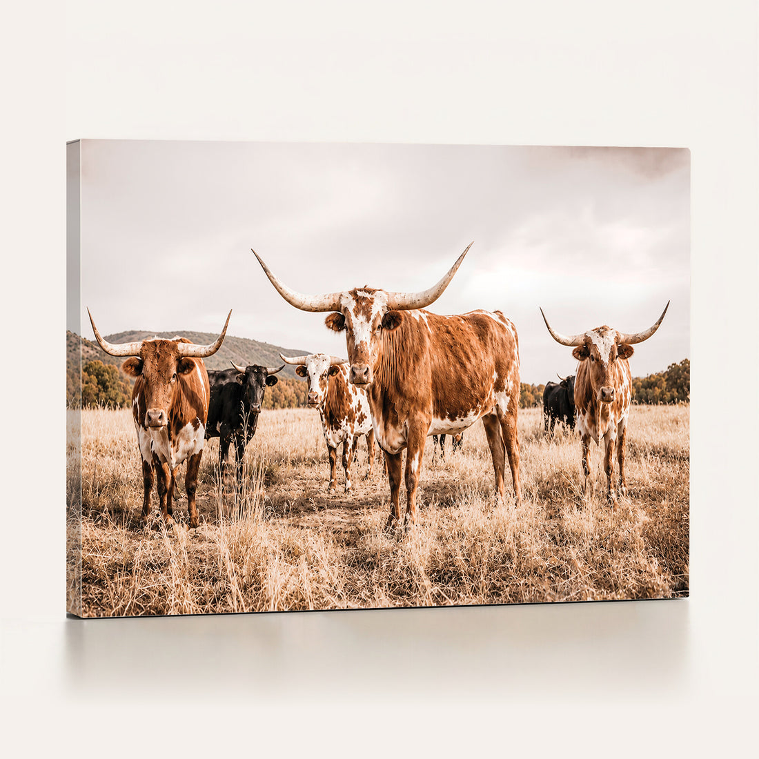Texas Longhorn Cattle Wall Art Canvas Print, Sepia Western Decor