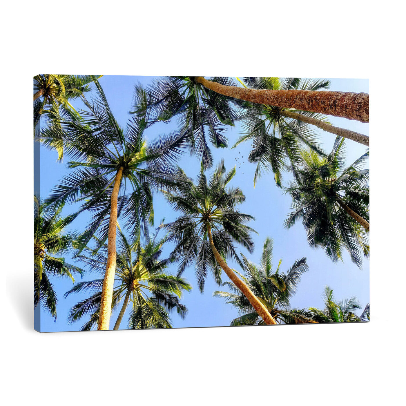 62263183-MGV-CV-36X24 - Wall Art Canvas Print