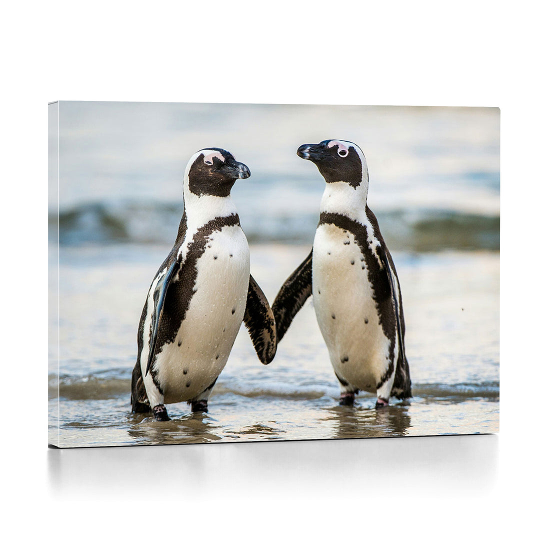 African Penguins Boulders Beach Wall Art Canvas Print, Cute Penguin Couple Photo Print