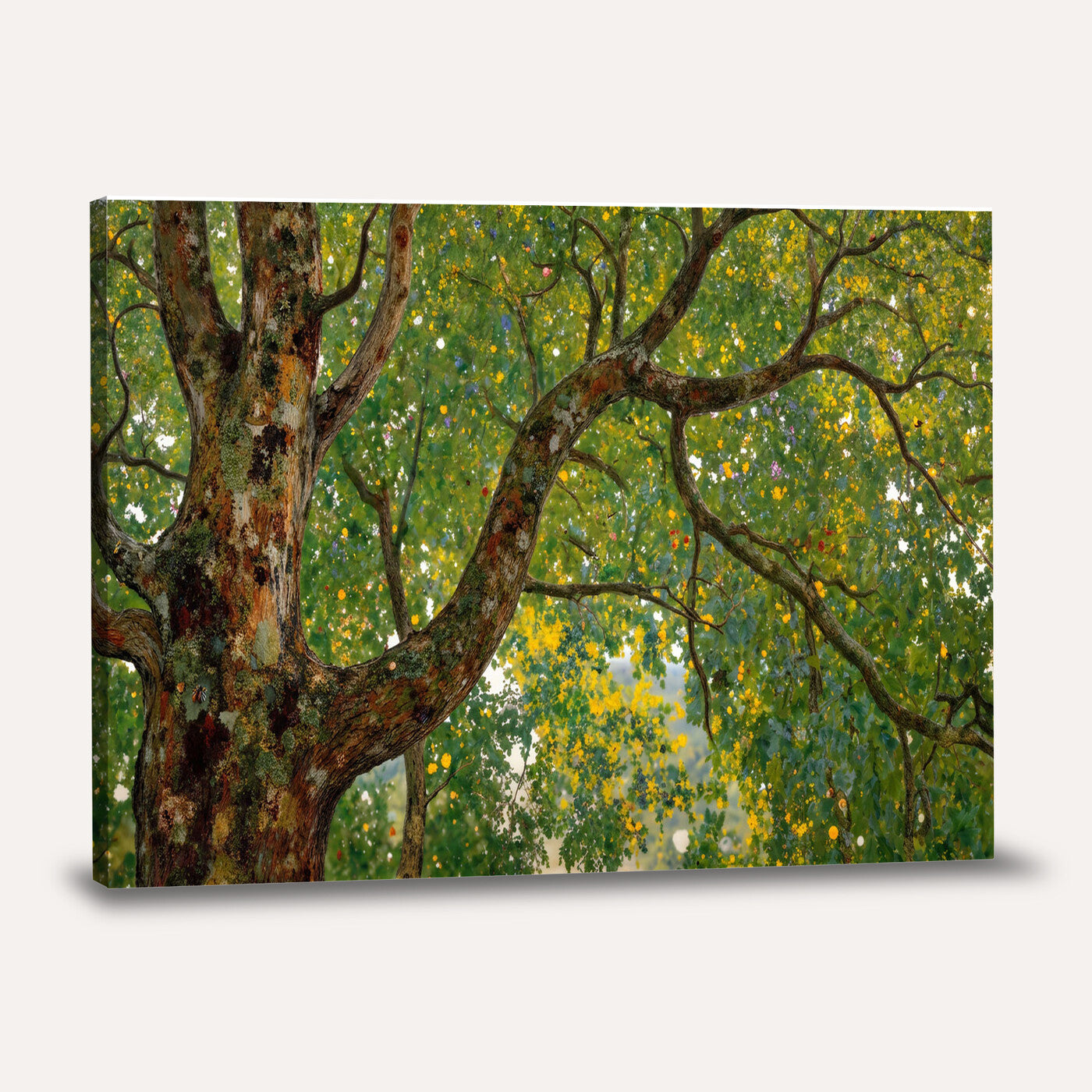 23663535-MGV-CV-36X24 - Vintage Summer Forest Green Tree Wall Art Canvas Print, Lush Leaves Impressionist Painting Print