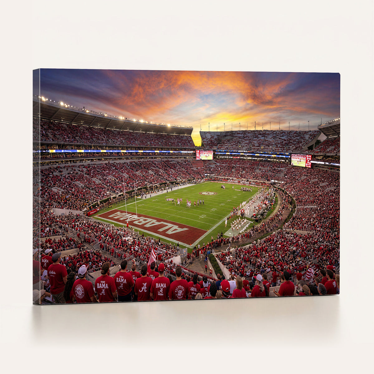 41995919-MGV-CV-36X24 - Stadium Wall Art Canvas Print