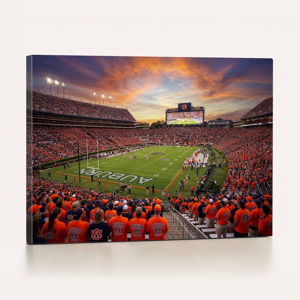 46347891-MGV-CV-36X24 - Stadium Wall Art Canvas Print