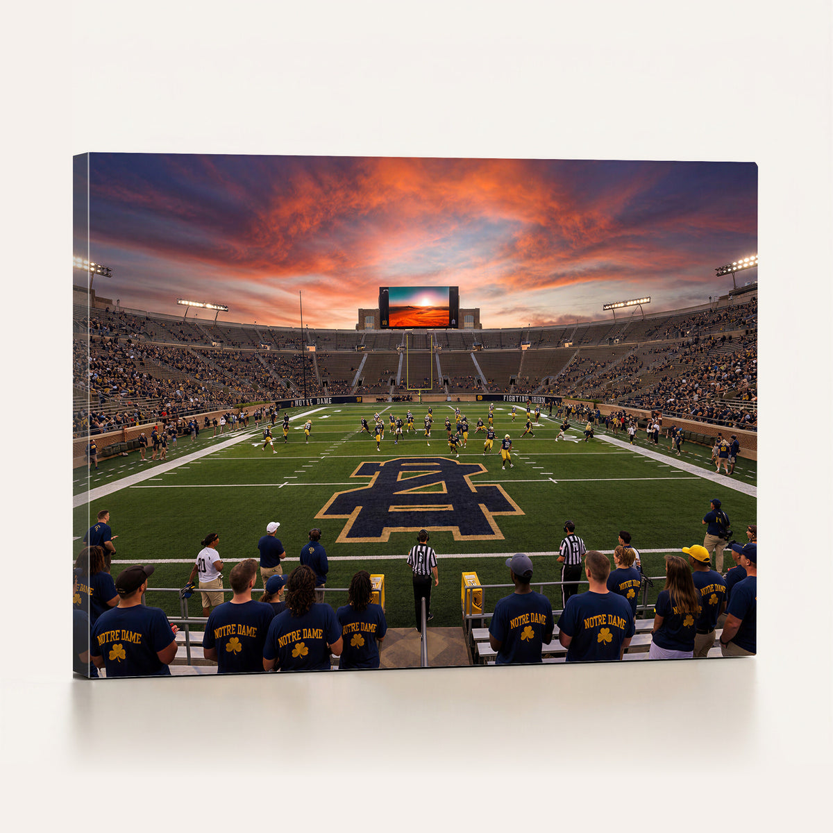 75411323-MGV-CV-36X24 - Stadium Wall Art Canvas Print
