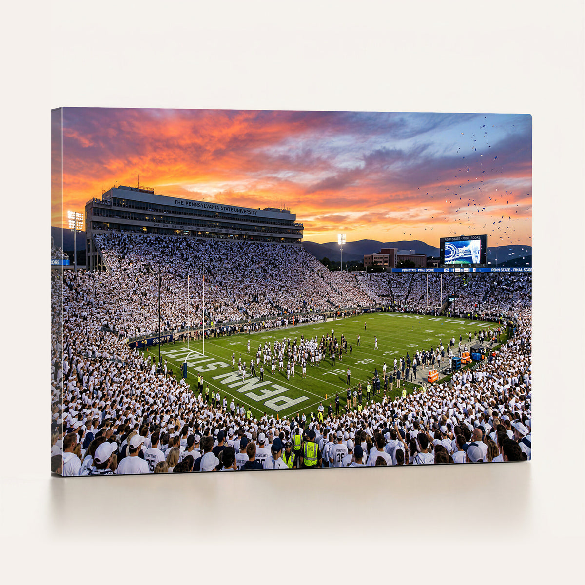 37057330-MGV-CV-36X24 - Stadium Wall Art Canvas Print