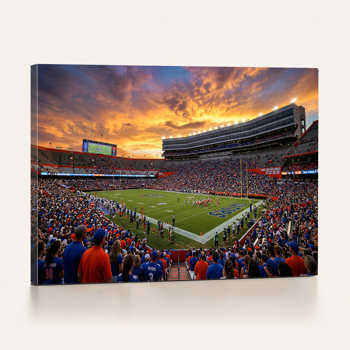 23829865-MGV-CV-36X24 - Stadium Wall Art Canvas Print