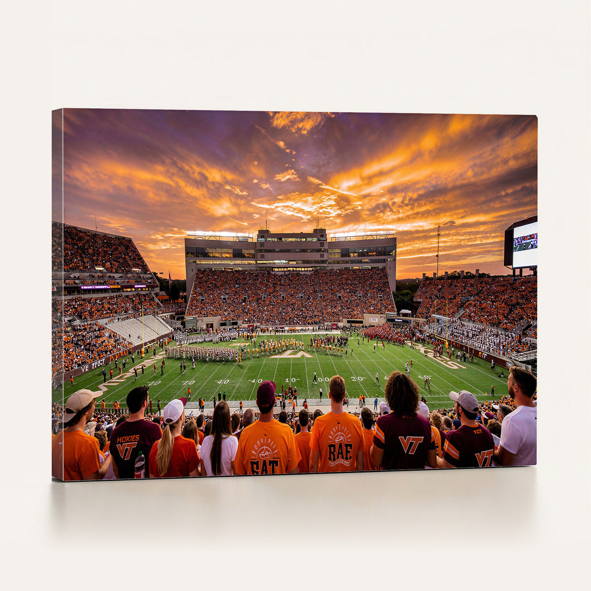25873880-MGV-CV-36X24 - Stadium Wall Art Canvas Print